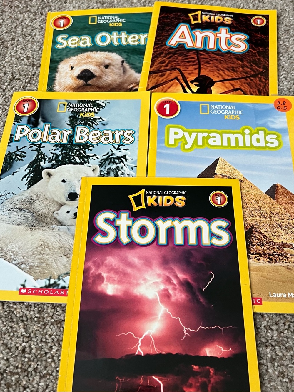 National Geographic Kids Educational Book Set-Storms, Sea Otter, Polar Bear